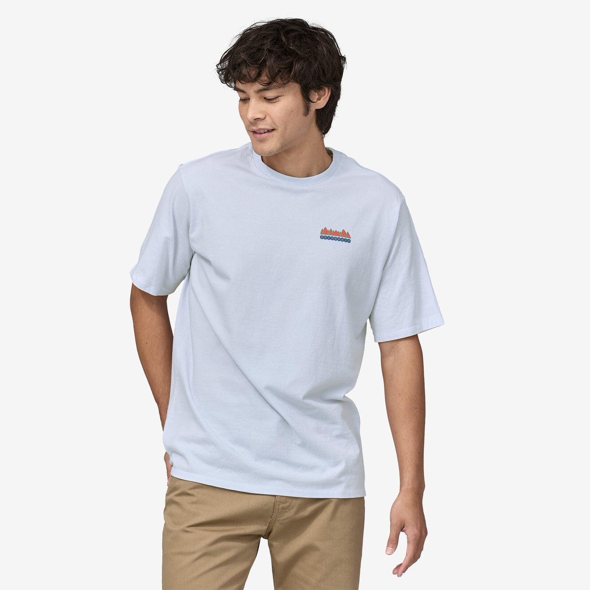 PATAGONIA|パタゴニア】FITZ ROY WILD RESPONSIBILI-TEE