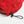 Load image into Gallery viewer, 【SAVE SHOCK|セーブショック】HIKE MOUNTAIN GREAT AGAIN CAP/ハイクマウンテングレートアゲインキャップ(RED)