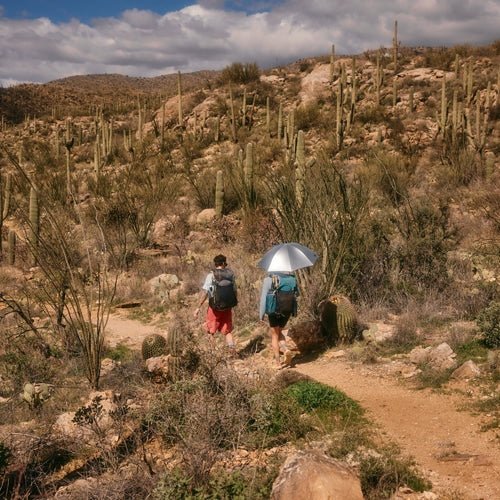 【GOSSAMER GEAR|ゴッサマーギア】LIGHTREK HIKING UMBRELLA/ライトレックハイキングアンブレラ(SILVER) - STREAM【GOSSAMER GEAR|ゴッサマーギア】LIGHTREK HIKING UMBRELLA/ライトレックハイキングアンブレラ(SILVER)STREAMSILVERONE SIZE