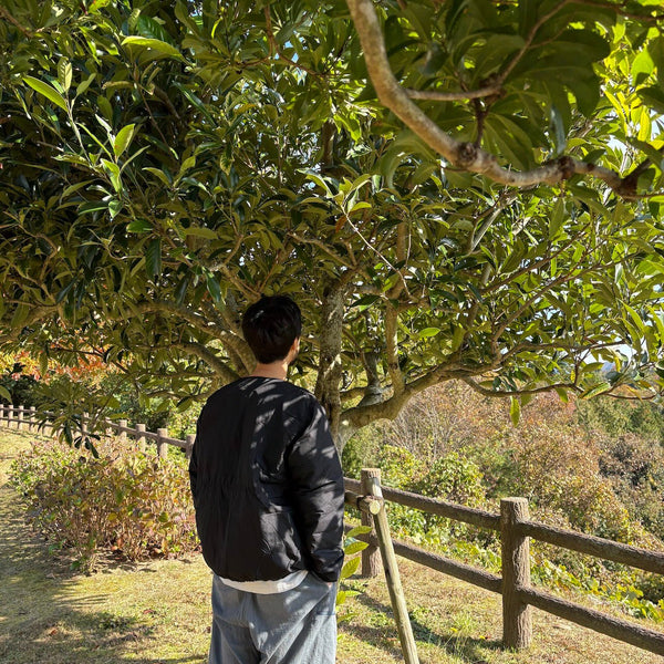 【THE NORTH FACE|ザノースフェイス】ALTERATION ZEPHER SHELL CARDIGAN/オルタレーションゼファーシェルカーディガン(MR マッシュルーム , K ブラック) - STREAM