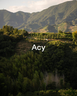 10.21(sat) Acy 2nd DELIVERY - STREAM