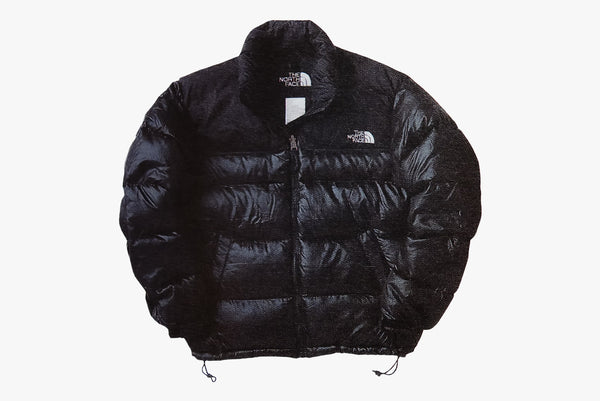 11/5(sat) THE NORTH FACE DOWN JACKET / VEST - STREAM