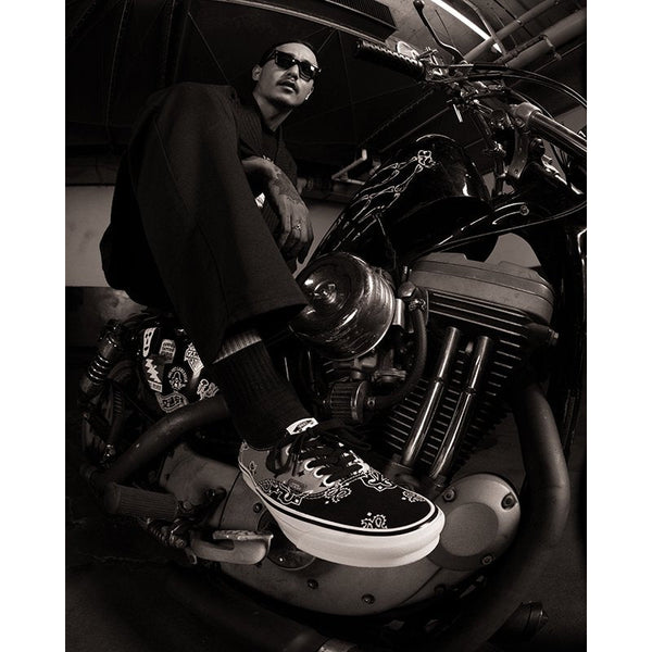 BEDWIN NEW ARRIVAL - STREAM