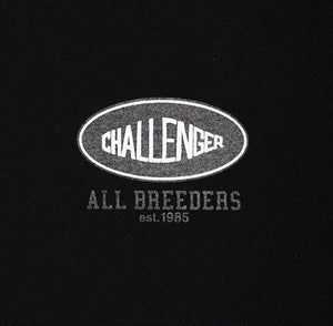 CHALLENGER 9/10(SAT)新作商品発売 - STREAM
