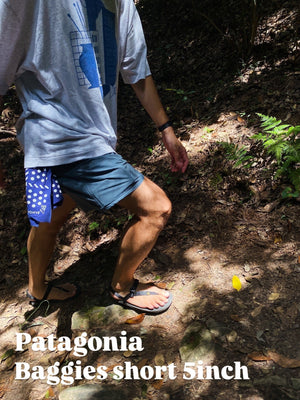 夏の風物詩 パタゴニア バギーズショーツ - STREAM
