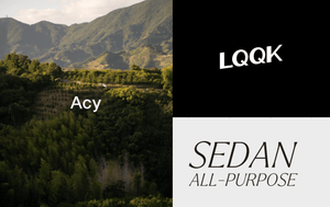 INSECT PUSH ITEM - STREAM