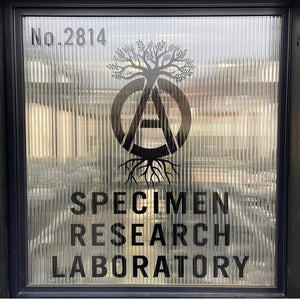 NEIGHBORHOOD "SPECIMEN RESEARCHLABORATORY" - STREAM