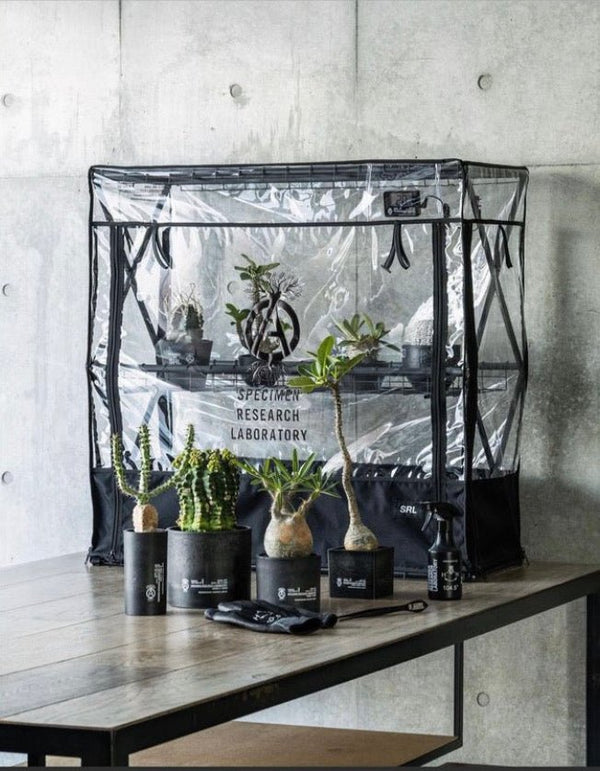 NEIGHBORHOOD×SRL NEW ARRIVAL - STREAM