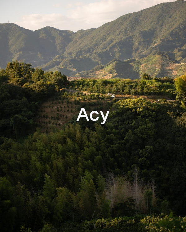 Acy - STREAM