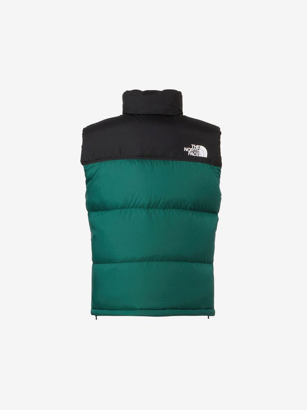 NUPTSE VEST/ヌプシベスト(TG TNFグリーン)