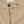 【WTAPS|ダブルタップス】ARMSTG2601 / SHORTS / COTTON. CNVS(BEIGE,OLIVE DRAB)