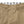 Load image into Gallery viewer, 10L DICKIES SLIM FIT TC PANTS &quot;BENEDICT&quot; (KHAKI) - STREAM10L DICKIES SLIM FIT TC PANTS &quot;BENEDICT&quot; (KHAKI)STREAMM
