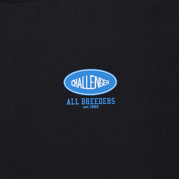 【CHALLENGER|チャレンジャー】L/S SUNSET DRIVE TEE/L/SサンセットドライブTEE (WHITE, BLACK)