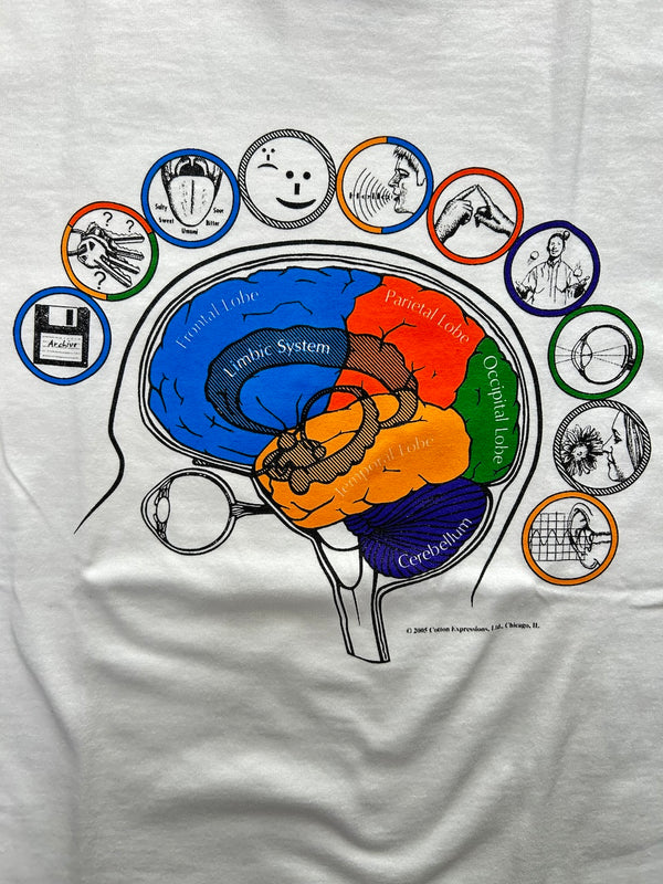 【ATLAS SCREEN PRINTING|アトラススクリーンプリンティング】VARIOUS PRINTS BRAINANATOMY TEE/ヴェアリアスプリントブレインアナトミティー(WHITE)