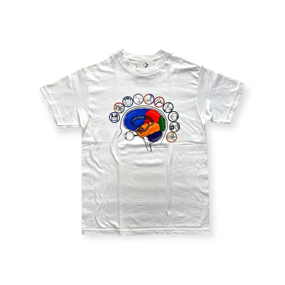 Atlas Print 【ATLAS SCREEN PRINTING|アトラススクリーンプリンティング】BRAINATOMY TEE – STREAM