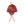 【BRAIN DEAD | ブレインデッド】ALPCA KNIT EAR FLAP BEANIE/アルパカニットイヤーフラップビーニー(RED MULTI) - STREAM【BRAIN DEAD | ブレインデッド】ALPCA KNIT EAR FLAP BEANIE/アルパカニットイヤーフラップビーニー(RED MULTI)STREAMONE SIZE