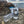 【GOSSAMER GEAR|ゴッサマーギア】GG WATER BOTTLE 600/GGウォーターボトル 600(CLEAL) - STREAM【GOSSAMER GEAR|ゴッサマーギア】GG WATER BOTTLE 600/GGウォーターボトル 600(CLEAL)STREAMCLEAL600ml