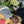 NOROLL|ノーロール SIMPLE BEANIE(GREY,BLACK,YELLOW,RED,BRWON)