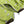 【NOROLL|ノーロール】SIGN REFLECTION PULLOVER/サイン リフレクションプルオーバー(GREY , LIME GREEN) - STREAM【NOROLL|ノーロール】SIGN REFLECTION PULLOVER/サイン リフレクションプルオーバー(GREY , LIME GREEN)STREAMLIME GREYM