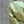 【NOROLL|ノーロール】SIGN REFLECTION PULLOVER/サイン リフレクションプルオーバー(GREY , LIME GREEN) - STREAM【NOROLL|ノーロール】SIGN REFLECTION PULLOVER/サイン リフレクションプルオーバー(GREY , LIME GREEN)STREAMLIME GREYM
