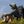 【PARAPACK|パラパック】B - CAP/B - キャップ(CACAO , BLUE SUN , JET BLACK , GREEN BAY) - STREAM【PARAPACK|パラパック】B - CAP/B - キャップ(CACAO , BLUE SUN , JET BLACK , GREEN BAY)STREAMGREEN BAYONE SIZE