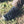 【SNOW PEAK|スノーピーク】W'S HYPERPORT H2/ウィメンズ ハイパーポート エイチツー KEEN x Snow Peak(BLACK) - STREAM【SNOW PEAK|スノーピーク】W'S HYPERPORT H2/ウィメンズ ハイパーポート エイチツー KEEN x Snow Peak(BLACK)STREAMBLACK23.0cm