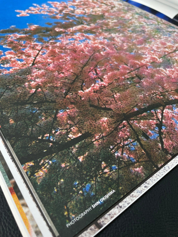 SNEEZE N°56 "the fresh batteries issue" - STREAMSNEEZE N°56 "the fresh batteries issue"STREAM